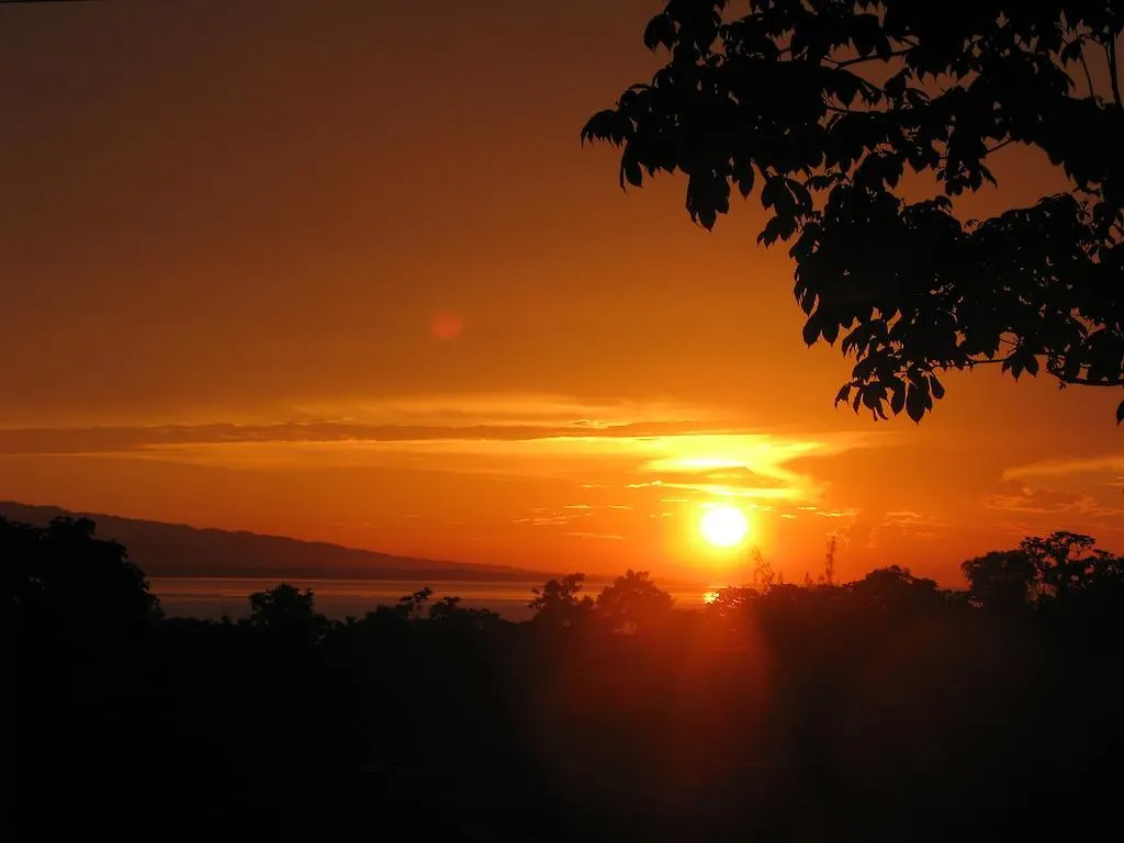 The Blue House Boutique Bed & Breakfast Bed and Breakfast Ocho Rios 5*,